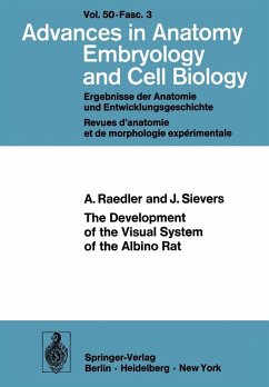 The Development of the Visual System of the Albino Rat (eBook, PDF) - Raedler, A.; Sievers, J.