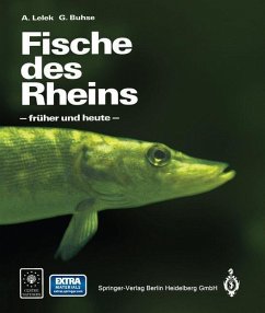 Fische des Rheins (eBook, PDF) - Lelek, Anton; Buhse, Günter