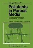 Pollutants in Porous Media (eBook, PDF)