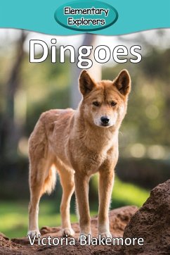 Dingoes - Blakemore, Victoria