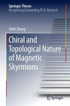 Chiral and Topological Nature of Magnetic Skyrmions - Zhang, Shilei