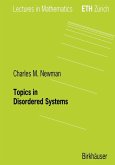 Topics in Disordered Systems (eBook, PDF)