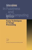 Fuzzy Techniques in Image Processing (eBook, PDF)