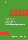 Stochastische Geometrie (eBook, PDF)