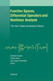 Function Spaces, Differential Operators and Nonlinear Analysis (eBook, PDF)
