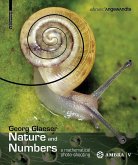 Nature and Numbers (eBook, PDF)