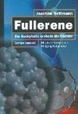 Fullerene (eBook, PDF)
