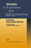 Evolving Rule-Based Models (eBook, PDF)