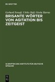 Brisante Wörter von Agitation bis Zeitgeist (eBook, PDF)