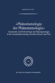 Phänomenologie der Phänomenologie (eBook, PDF)