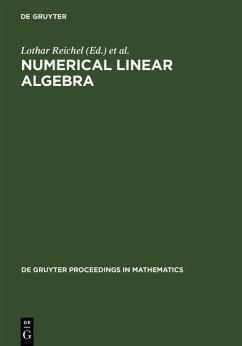 Numerical Linear Algebra (eBook, PDF)