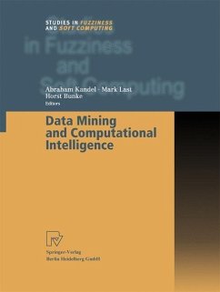 Data Mining and Computational Intelligence (eBook, PDF)