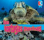 Todo Sobre Las Tortugas Marinas