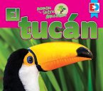 Animales de la Selva Amazónica -- El Tucán