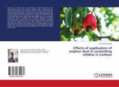 Effects of application of sulphur dust in controlling mildew in Cashew