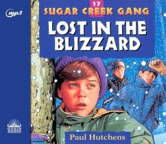Lost in the Blizzard: Volume 17 - Hutchens, Paul