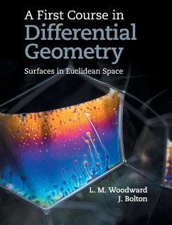 A First Course in Differential Geometry - Woodward, Lyndon; Bolton, John