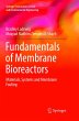 Fundamentals of Membrane Bioreactors - Bild 1