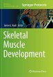 Skeletal Muscle Development - Bild 1