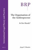 The Organisation of the Anthropocene: In Our Hands?