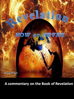 Revelation Now Or Never - St'Cyr, Davy