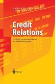 Credit Relations (eBook, PDF)