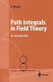 Path Integrals in Field Theory (eBook, PDF)