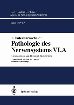 Pathologie des Nervensystems VI.A (eBook, PDF) - Unterharnscheidt, F.; Doerr, W.; Seifert, G.
