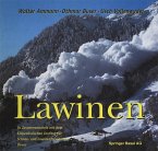 Lawinen (eBook, PDF)