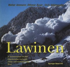 Cover Lawinen (eBook, PDF)
