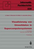 Visualisierung von Umweltdaten in Supercomputersystemen (eBook, PDF)