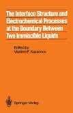 The Interface Structure and Electrochemical Processes at the Boundary Between Two Immiscible Liquids (eBook, PDF)