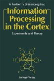 Information Processing in the Cortex (eBook, PDF)