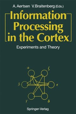 Information Processing in the Cortex (eBook, PDF)