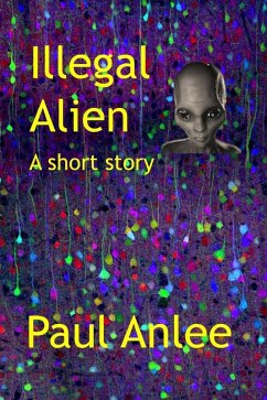 Illegal Alien (eBook, ePUB) - Anlee, Paul