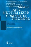 Small and Medium Sized Companies in Europe (eBook, PDF)