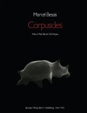 Corpuscles (eBook, PDF)