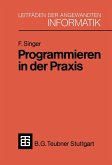Programmieren in der Praxis (eBook, PDF)