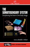 The Somatosensory System (eBook, PDF)