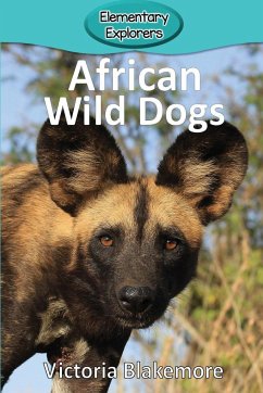 African Wild Dogs - Blakemore, Victoria