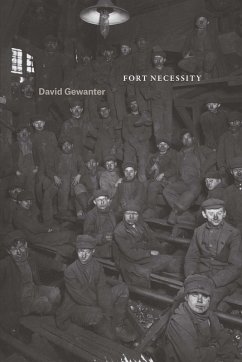 Cover Fort Necessity (eBook, PDF)