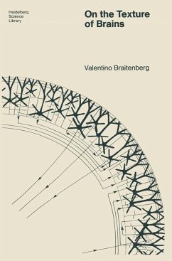 Cover On the Texture of Brains (eBook, PDF)