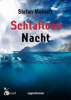 Cover Schlaflose Nacht (eBook, PDF)