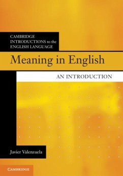 Meaning in English (eBook, PDF) - Valenzuela, Javier