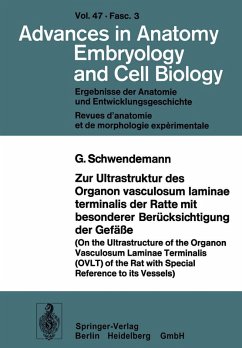 Zur Ultrastruktur des Organon vasculosum laminae terminalis der Ratte mit besonderer Berücksichtigung der Gefäße (eBook, PDF) - Schwendemann, G.