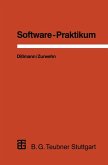Software-Praktikum (eBook, PDF)