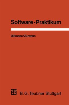 Cover Software-Praktikum (eBook, PDF)