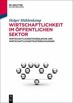 Wirtschaftlichkeit im öffentlichen Sektor (eBook, PDF) - Mühlenkamp, Holger
