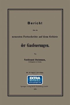 Bericht über die neuesten Fortschritte auf dem Gebiete der Gasfeuerungen (eBook, PDF) - Steinmann, Ferdinand