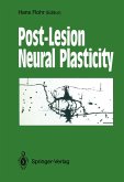 Post-Lesion Neural Plasticity (eBook, PDF)